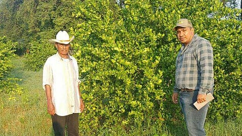 El objetivo fortalecer e incentivar el cultivo con planta sana e inocua