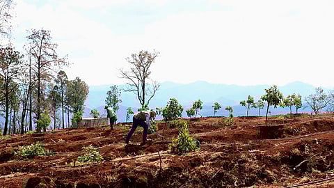 “La actuación la va a dirimir un juzgado", enfatizó el funcionario (Foto: Cortesía)