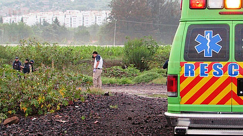 Fue localizado la mañana de este viernes (Foto: RED 113)