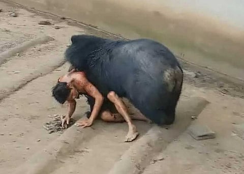 El ataque duró varios minutos (Foto tomada de una captura de video)