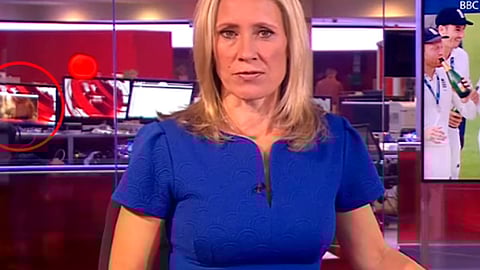 (Fotograma: YouTube)