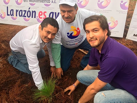 Ciudadanos michoacanos plantan 3 mil árboles