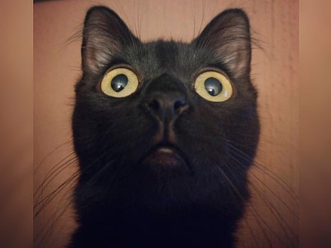 Martes 13, ¿mala suerte?