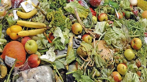 Son múltiples las causas que provocan que se desperdicie comida (Foto: Twitter @Cemdes)