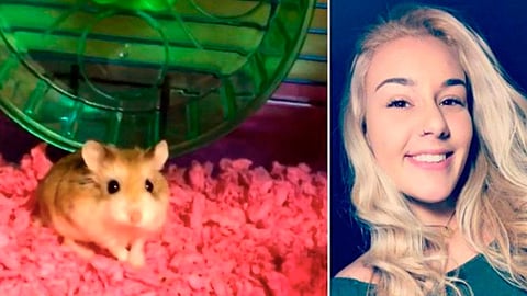 La joven argumentaba que el roedor contaba con certificación médica, pero los agentes del aeropuerto le prohibieron el abordaje al avión (Foto: @bluebrandingmx)