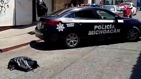 Al revisar el contenido de la bolsa y se descubrió que era una cabeza de puerco (Foto: RED 113)