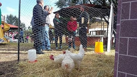 La ventanilla para colocar solicitudes y acceder a este programa, estará abierta hasta el día 31 del presente mes y año (Foto: Cortesía)
