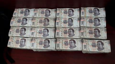 No se sabe si el nuevo diseño conservará a los artistas mexicanos Frida Kahlo y Diego Rivera (Foto: gob.mx)
