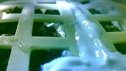 Lograr cultivar plantas en la Luna es esencial para las misiones posteriores a largo plazo (Foto: Twitter/@fedkukso)