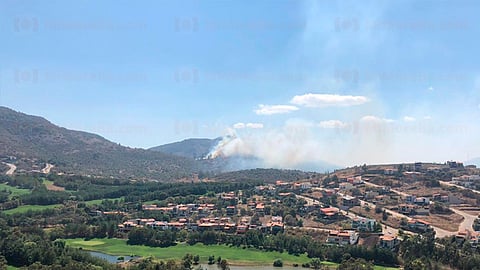 Señaló que en lo que va del 2019, en esa misma zona de Altozano se han registrado al menos cinco incendios a causa de que los habitantes limpian los pastizales con “quemas” durante la ola de calor (Foto: MiMorelia.com)