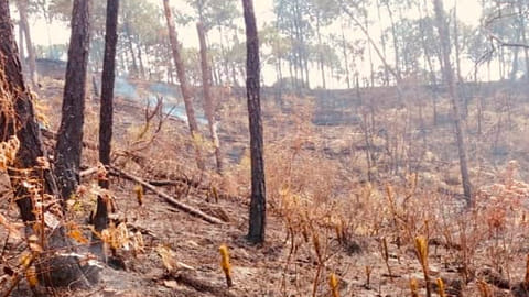 (Foto Facebook: Uruapan Gobierno Municipal)