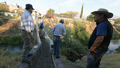 La acción inmediata se realizará en este mes con la sustracción de árboles secos (Foto Cortesía)