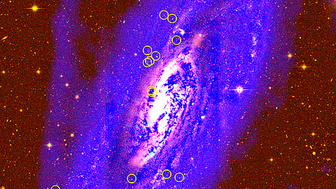 Imagen en falso color de M106. Los círculos amarillos resaltan los cúmulos globulares observados (Foto: Cortesía)