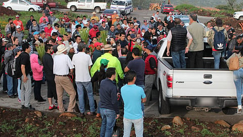 La tenencia Morelos se vio beneficiada con el programa municipal de reforestación (Foto: Especial)