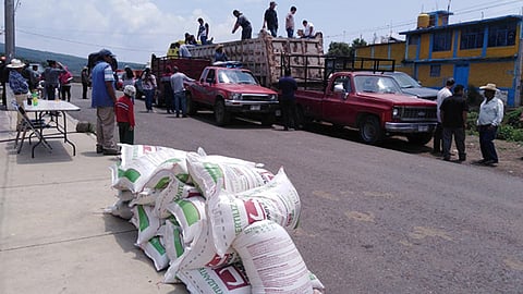 Se apoya a los productores rurales con insumos agrícolas (Foto Cortesía)