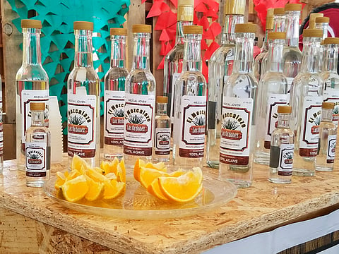 Se requieren más apoyo para exportar el mezcal michoacano: UEPAMM