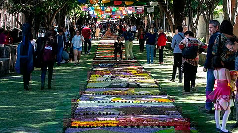 Prepara tu cámara, que querrás fotos desde todos los ángulos  (Foto: Twitter/@FMusicaMorelia)