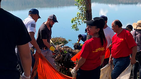 Contabilizan 3.5 hectáreas de extracción de lirio en la Presa de Cointzio