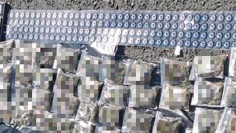 La SSP exhorta a la población a reportar todo acto que atente contra el bienestar de la población (Foto. Cortesía)