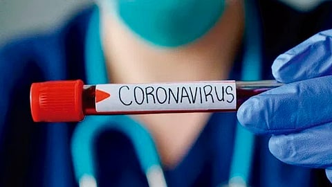 (Foto: Banco Mundial)