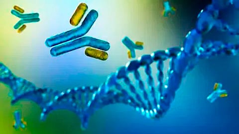 El instituto se encuentra en el proceso de patentar el anticuerpo para posteriormente ponerse en contacto con fabricantes internacionales (Foto ilustrativa: pixabay)