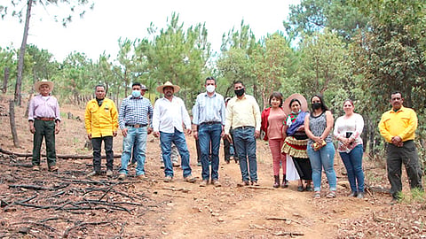 El secretario de Medio Ambiente, Ricardo Luna García, refirió que se debe cuidar hoy el único y real oro verde que tiene Michoacán: el bosque (Foto Cortesía) 