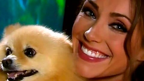 El perro de raza Pomerania tenía 16 años cuando pereció (Foto Twitter: @Anahi)