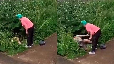 La mujer fue a buscar un palo y regresó a golpear a la pareja (Foto: fotograma YouTube/ 
Best tops)