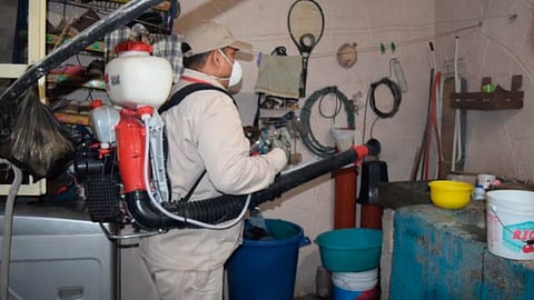 Morelia es la localidad con mayor número de casos de dengue con 240, de los mil 758 que se tienen en Michoacán (Foto: Cortesía)