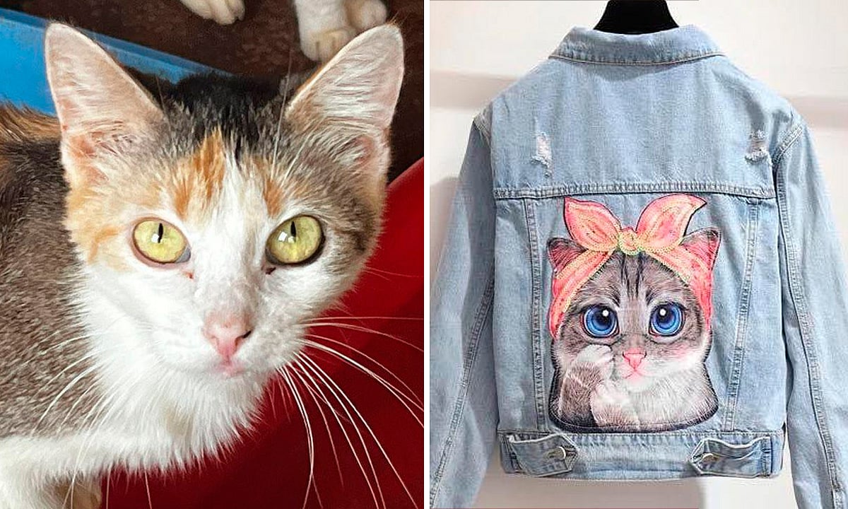 Organizan rifa para apoyar a refugio de gatitos en Morelia