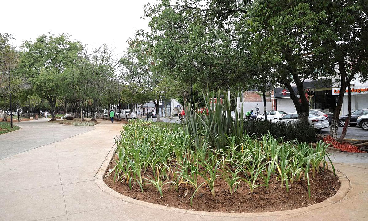 Inauguran en Morelia Parque Lineal del Boulevard García de León
