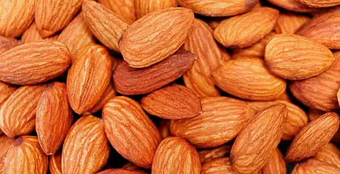 ¡El Secreto para una Vida Más Saludable! Descubre el Poder de 20 Almendras Diarias, Según la Ciencia