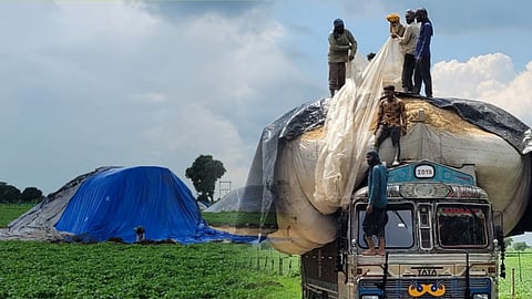 ग्राउंड रिपोर्टः एक गांव जिसमें चारे ने बदल दी किसानों की किस्मत, आज लगभग हर घर में ट्रक, कभी खाने की थी तंगी