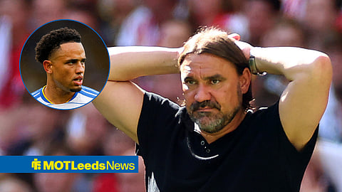 View: Farke will rue one baffling decision in Brighton draw, it cost Leeds all three points