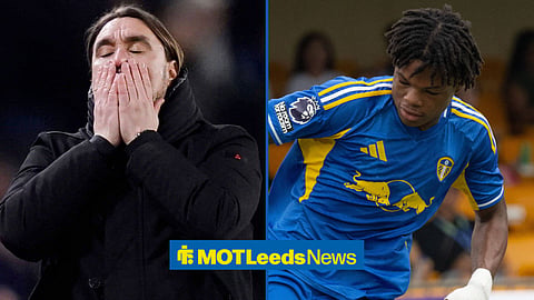Leeds United manager Daniel Farke and Carrick Njinko in action for Leeds United's academy