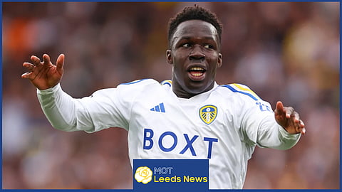 Willy Gnonto has continuously been linked with a move away from Leeds United