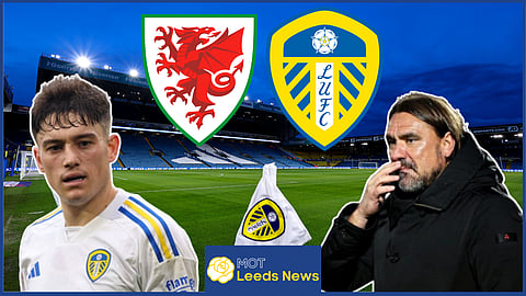 Daniel Farke must hold talks with Dan James at Leeds United