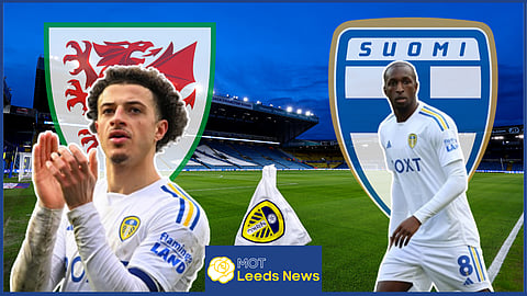 Leeds United players played in the Wales game against Finland