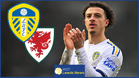 Leeds United star Ethan Ampadu has been tipped for Wales honours
