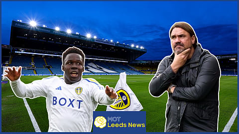 Leeds United boss Daniel Farke is without Willy Gnonto