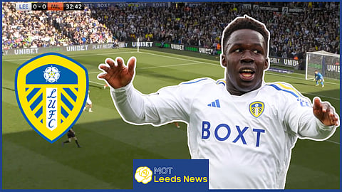Wilfried Gnonto impressed for Leeds United. Credit: Sky Sports Football