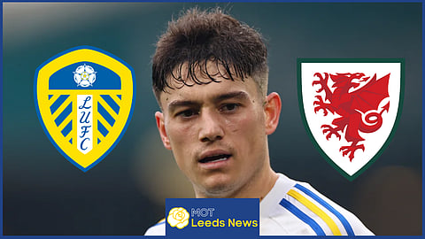 Daniel James is enjoying himself at Leeds United this season