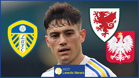 Dan James has shone for Leeds United and Wales in recent times