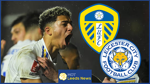 Mateo Joseph has emerged as an exciting talent at Leeds United
