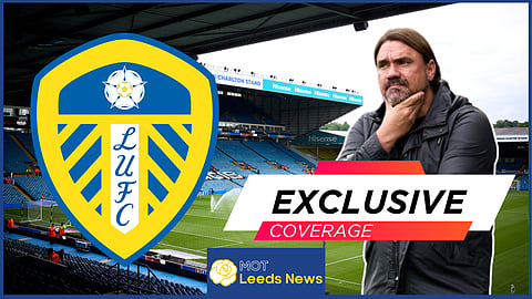 Daniel Farke sack mooted amid Championship promotion verdict