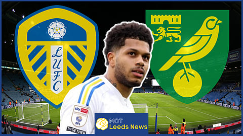 Georginio Rutter has been slammed for his first half v Norwich