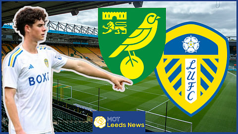 Archie Gray struggled for Leeds United against Norwich City