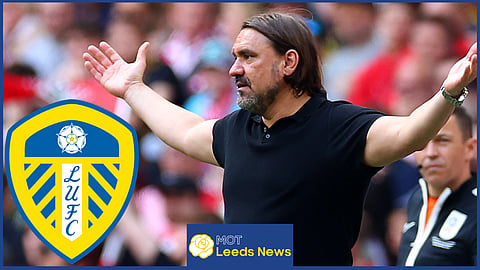 Daniel Farke was unable to guide Leeds United to Premier League promotion