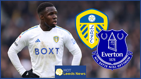 Wilfried Gnonto has been a long-term target for Everton