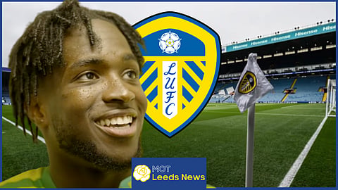 Leeds United were linked with Jonathan Rowe in the summer - Credit Norwich City via YouTube